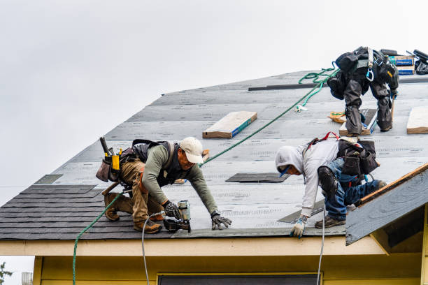 Professional Roofing technician working in Mc Callsburg, IA